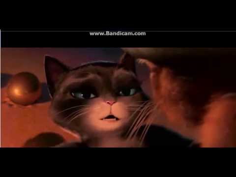 Видео: это любовь нас завоевала!!!!