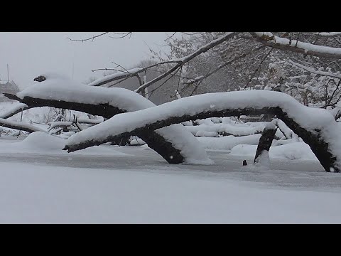 Видео: ПРОБУРИЛ ЛУНКИ В ДРОВАХ И ОНИ НАЧАЛИ КЛЕВАТЬ.ЗИМНЯЯ РЫБАЛКА 2021