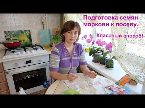 Видео: Подготовка семян моркови. Классный метод.
