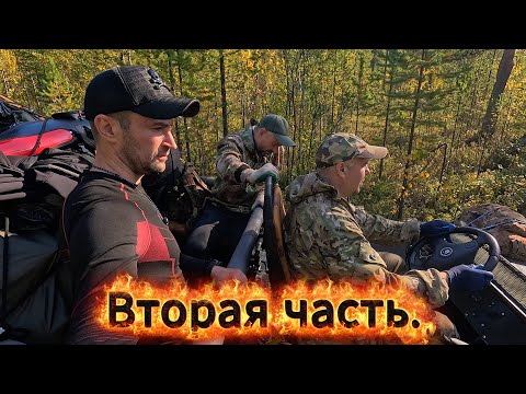 Видео: ЖИВЕМ В ТАЙГЕ. ТРОФЕЙНЫЙ ХАРИУС. РЫБАЛКА НА ДИКОЙ РЕКЕ 2 часть.
