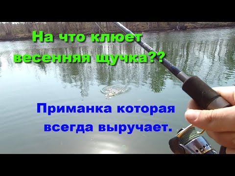 Видео: На что клюет весенняя щучка? Как уйти от ноля? Приманка которая всегда выручает.