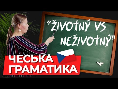 Видео: Роды в чешском языке Чешская грамматика