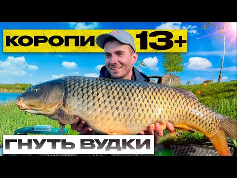 Видео: Великі коропи вже прокинулися і дають справжній бій!