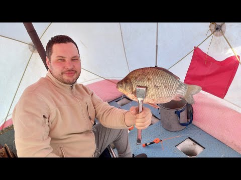 Видео: С  ТАКИМИ КАРАСЯМИ И САЗАНЫ НЕ НУЖНЫ! ЗИМНЯЯ РЫБАЛКА НА КАРАСЯ С НОЧЕВКОЙ