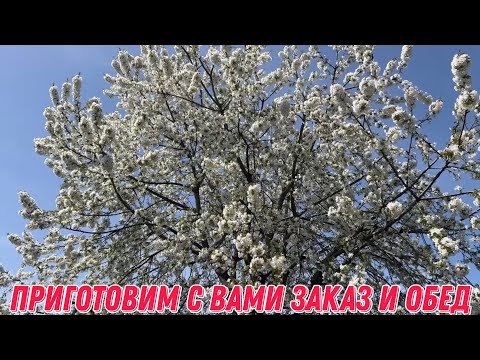 Видео: Приготовим с вами заказ и обед