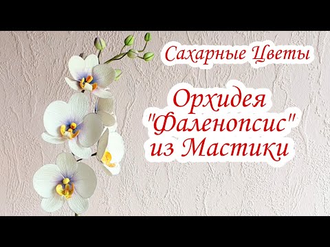 Видео: Как Сделать Орхидею из Мастики | Орхидея Фаленопсис из Мастики | Сахарные Цветы | David Malaniia