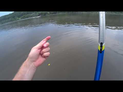 Видео: Рыбалка на Оке в проводку на МАХовую удочку на КУКУРУЗУ!