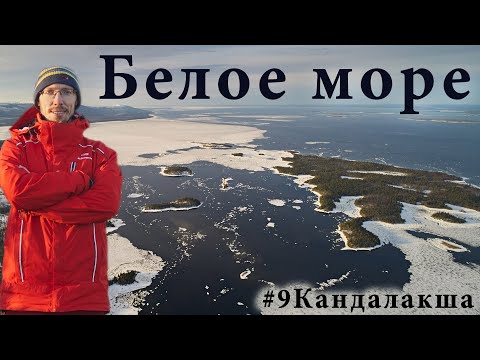 Видео: Белое море – Кандалакша – Кольский полуостров. Экспедиция в Кандалакшский заповедник