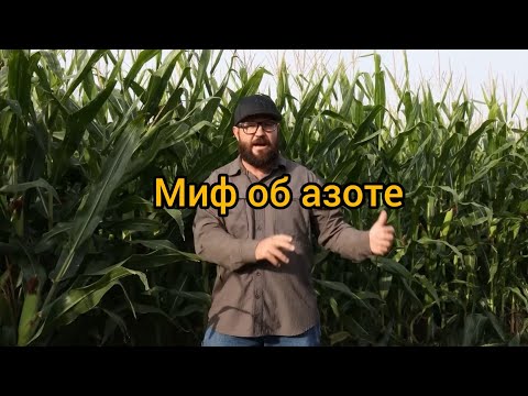 Видео: Отказ от этого мифа сэкономит фермерам большие деньги Джей Янг Young Red Angus