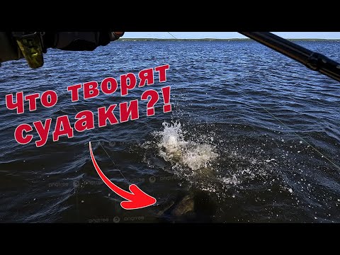 Видео: ЛЕГЕНДАРНАЯ Daiwa Fuego ВСЁ!!! Shimano 25 Twin Power XD 4000PG НАЧИНАЕТ РЫБАЛКИ!!!