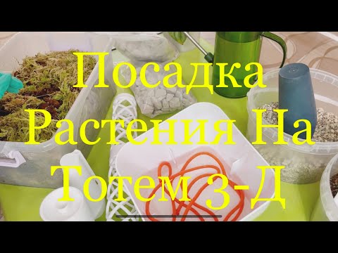 Видео: Посадка растения на Тотем 3-Д