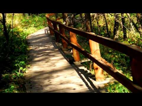 Видео: Восхитительные Животне в заповеднике "Столбы"