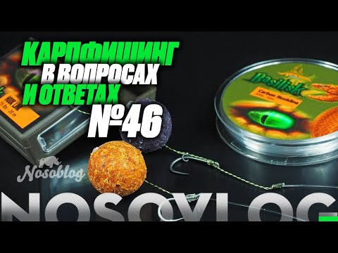 Видео: Карпфишинг в вопросах и ответах #46, Колесников А.