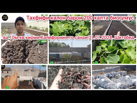 Видео: Тахфифи калон барои биогумус ва кирми Калифорния аз ширкати ECO HAYOT BIOGUMUS TAJIKISTAN KHUJAND 🇹🇯