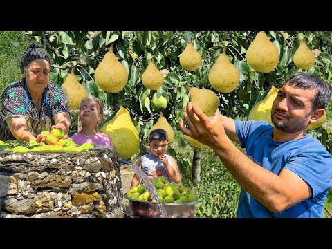 Видео: Уборка груш, каштанов, терна, фасоли в деревне! Приготовление кадинбуду кофте | Арбузное варенье