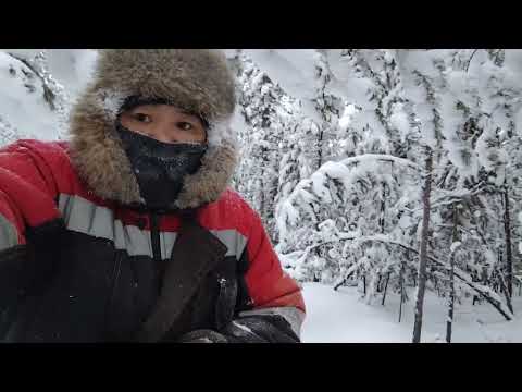 Видео: 10 января 2024 г.