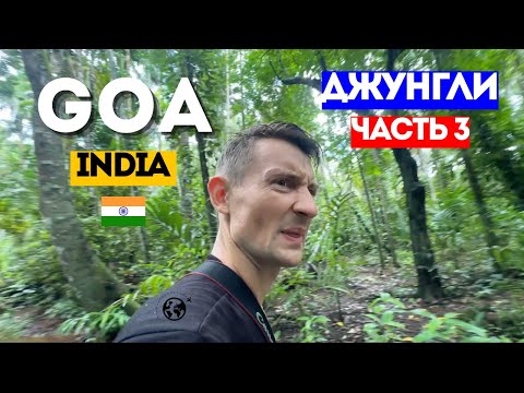 Видео: ГОА, ДЖУНГЛИ. Ищу скутер, Нашел: пауков, грибы, водопад, орехи и обезьян. Путешествие по Индии