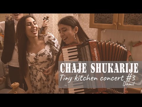 Видео: Неизвестный Композитор - Чай Шукария (tiny kitchen concert #3)