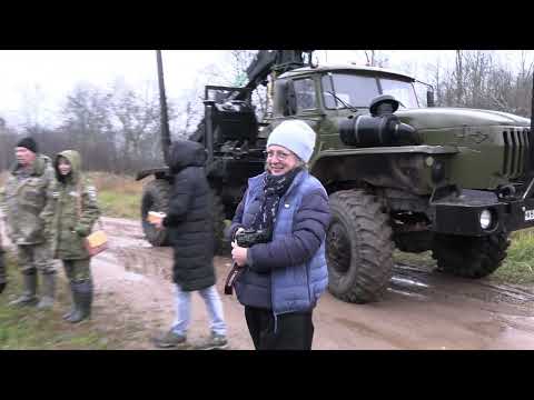 Видео: Выпуск зуброй в НП "Смоленское Поозерье"