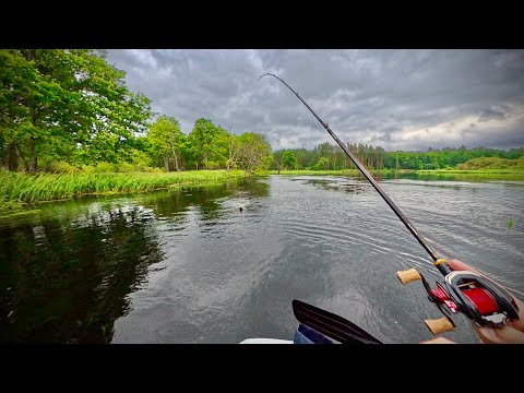 Видео: Березина. Один ДЕНЬ на реке Березина со спиннингом и лодкой. Щука на воблер