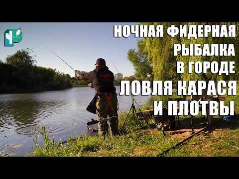 Видео: Ночная фидерная рыбалка в городе: карась и плотва под фонарями
