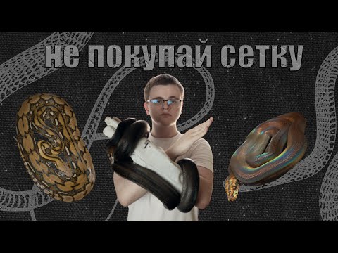Видео: Сетчатый питон или почему размер имеет значение