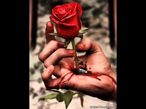 Видео: любишь? люблю..докажи..докажу..