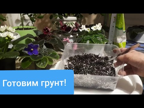 Видео: Как приготовить Идеальный Грунт для Фиалок?