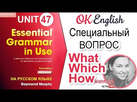 Видео: Unit 47 Вопрос с what, which, how. Специальный вопрос в английском | OK English Elementary