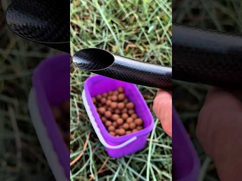 Видео: Как поймать толстолобика на баланс