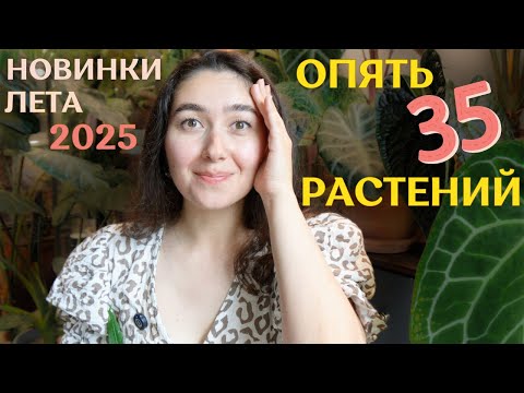 Видео: большое ПОПОЛНЕНИЕ КОЛЛЕКЦИИ этого ЛЕТА | много РАСТЕНИЙ и МНОГО РАДОСТИ от новинок | +35 растений🪴