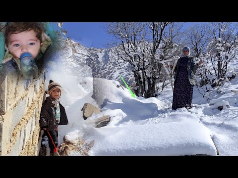 Видео: Мужество против снежной бури: усилия Агари по преодолению кризиса и трудных обстоятельств🥶❄️