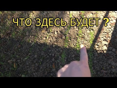 Видео: ВЛОГ🍁ЧТО БУДЕТ С ОГОРОДОМ // ПЛАН ПЕРЕХВАТ // ЭКСКУРСИЯ ПО СТАНИЦЕ