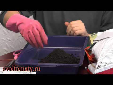 Видео: Как выбрать и подготовить покупные грунты для рассады
