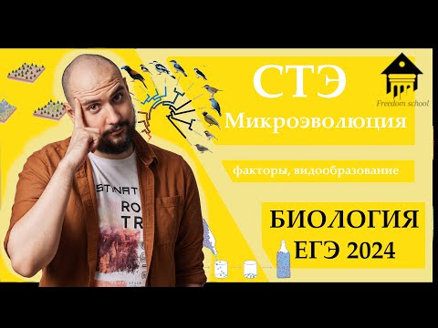 Видео: Микроэволюция. СТЭ для ЕГЭ 2024 |ЕГЭ БИОЛОГИЯ|Freedom|