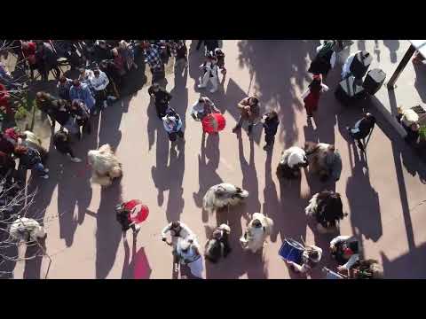 Видео: Дервишов Ден с,Мокрище INTRO