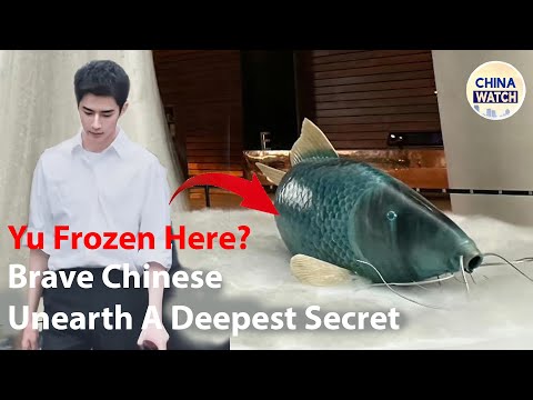 Видео: P3-Черный лебедь Юй Мэнлун: коллективный просмотр обязателен, а талант-шоу — это охота за гениями