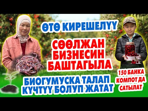 Видео: БАКТЫГҮЛ эже БАЛАСЫ м-н СӨӨЛЖАН БИЗНЕСИН абдан жакшы өздөштүрдү  🇰🇬  Эми ПАЙДАСЫН КӨРСҮН, САТЫЛАТ