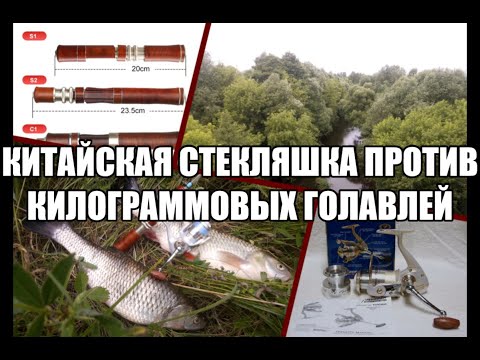 Видео: Китайская стекляшка против килограммовых голавлей!