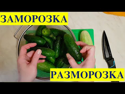 Видео: Заморозка огурцов + Разморозка огурцов! Мой отзыв