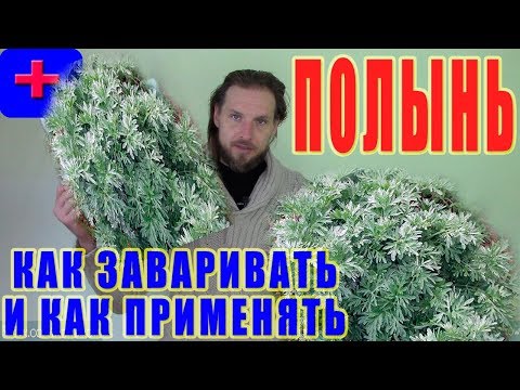 Видео: Полынь. Как заваривать ПОЛЫНЬ. Как применять полынь. Антипаразитарная чистка народными средствами!