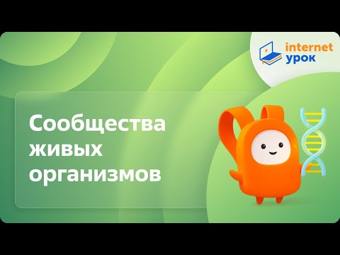 Видео: Сообщества живых организмов. Видеоурок по биологии 11 класс