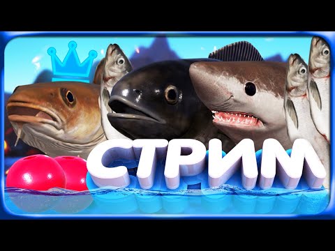 Видео: РР4 СТРИМ • ЗА ТРОФЕЙНОЙ РЫБОЙ и ФАРМОМ на ГЛУБИНЫ НОРВЕЖСКОГО МОРЯ!