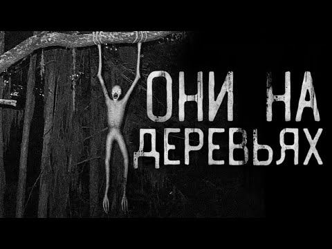 Видео: ОНИ НА ДЕРЕВЬЯХ! Страшные истории на ночь. Страшилки на ночь.