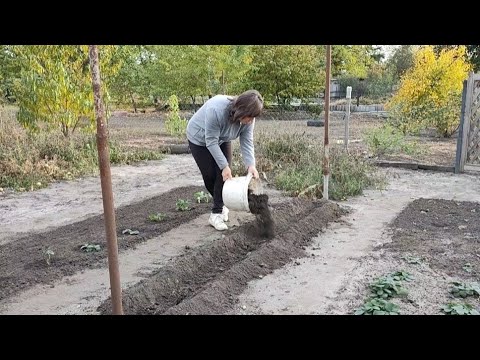 Видео: ВИСАДКА ЧАСНИКУ, ПОЛУНИЦі! ПРИБРАЛА ДЕБАРАО З ОПОРИ!