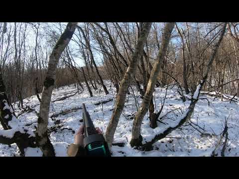 Видео: Охота на косулю и кабана с Browning Bar Match k.308 Win