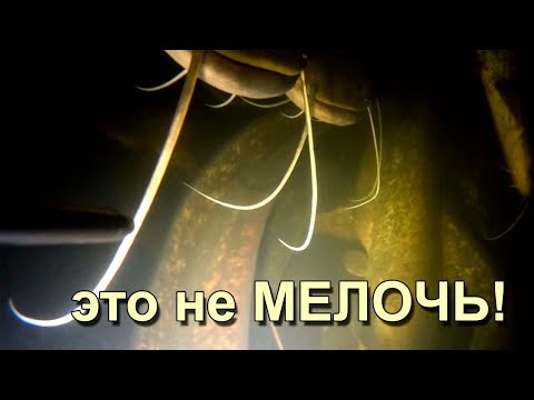 Видео: Подводная охота. Мелочи!