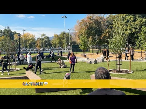 Видео: В городском парке Келоуны проходит забег собак стоимостью 1,2 миллиона долларов