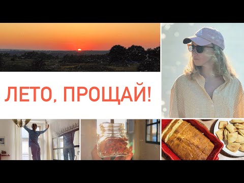 Видео: Будни мамы | Творожная выпечка, о родословной, на берегу Оки, уборка перед осенью 🎞️🧺🍪