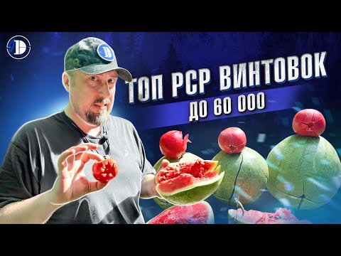 Видео: Честный обзор на PCP: 5 винтовок до 60 тысяч рублей. Прицелы DISCOVERY HD 2-12X24SFIR и HT 4-16X40SF